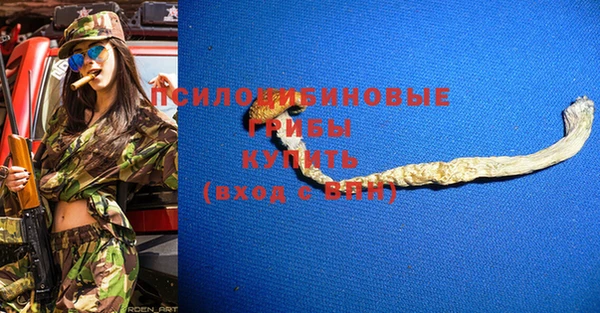 шишки Карталы