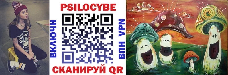 Купить где  Улан-Удэ  Псилоцибиновые грибы GOLDEN TEACHER 