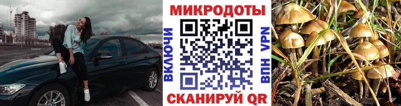 Галлюциногенные грибы прущие грибы Улан-Удэ
